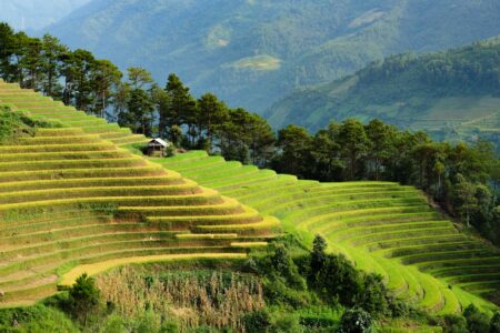 vietnam